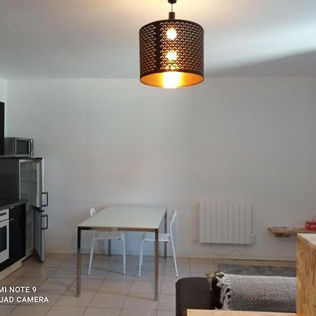 Studio Spacieux Confortable Recemment Renove Apartment Albi Exterior photo